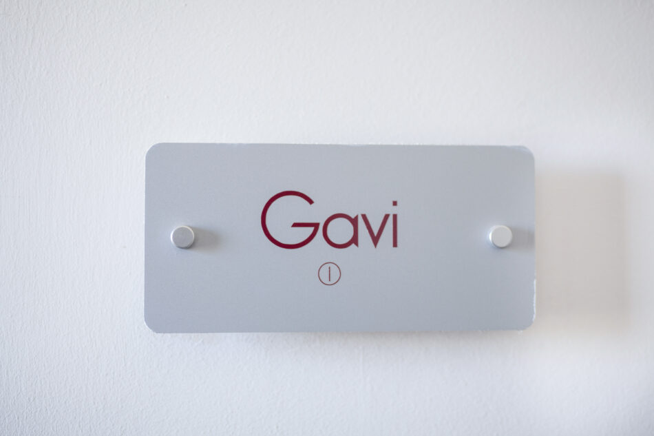 Gavi