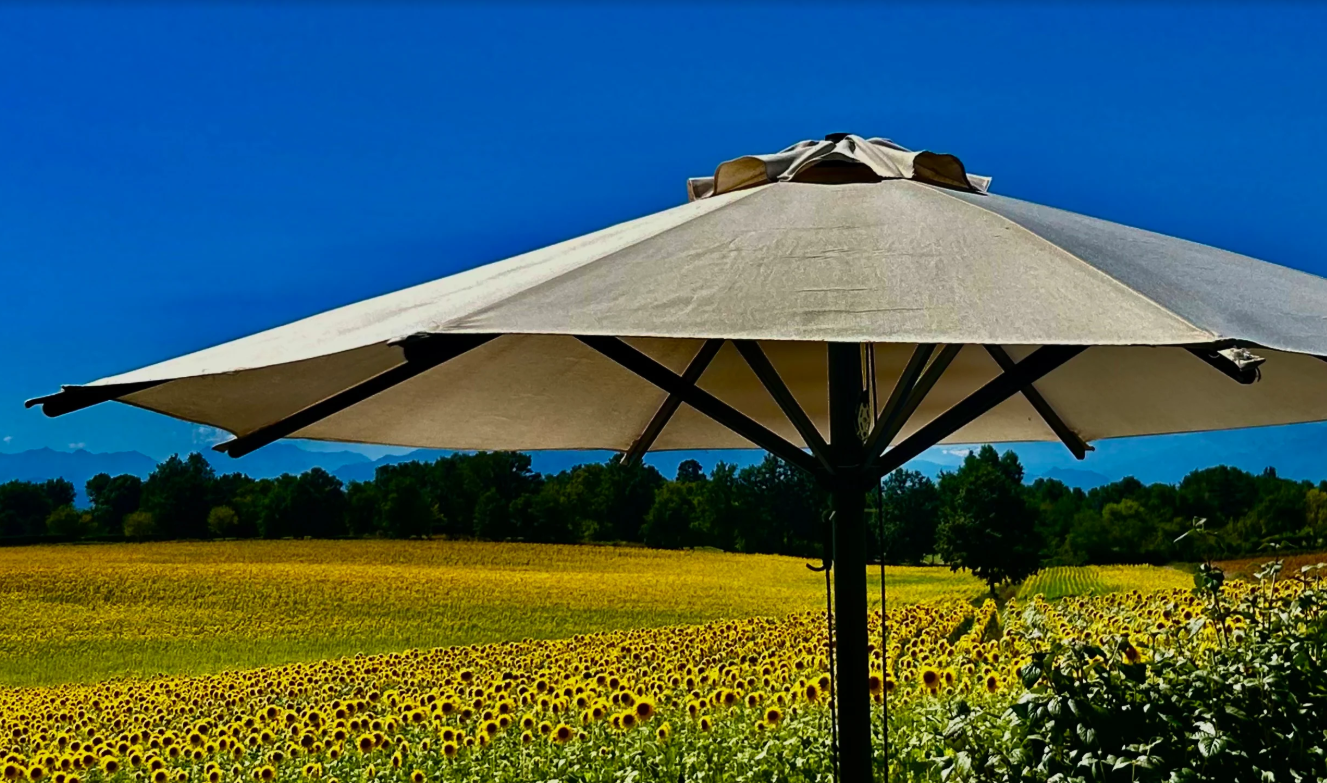 FERRAGOSTO TRA GUSTO E RELAX